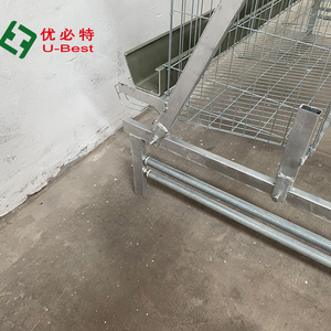 Système de cage à batterie automatisé de <span class=keywords><strong>type</strong></span> <span class=keywords><strong>A</strong></span>, économique et professionnel, directement de l'usine, pour l'élevage de volailles - Product Image 6