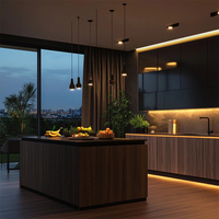 Lemari Dapur Modern Custom Desain Terintegrasi Mewah Pintu Akrilik Anti Air Stainless Steel Lampu LED untuk Rumah Apartemen