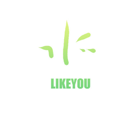 Shanghai Like You Import & Export Co., Ltd. logo
