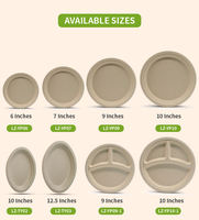 Assiette jetable de 6 pouces en pulpe de bagasse de canne à sucre, résistante à la graisse, compatible micro-ondes, écologique et biodégradable