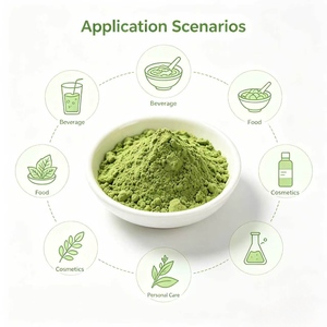 Extracto de Hoja de Morera en Polvo 10:1 20:1 Directo de Fábrica, Extracto Natural de Hoja de Morus Alba de Grado Alimenticio para Fórmula Alimentaria, Materia Prima - Product Image 5