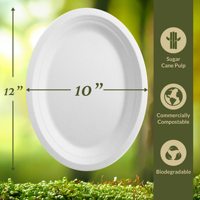 Assiette à dîner compostable écologique en bagasse de canne à sucre Assiette ovale jetable en fibres de canne à sucre
