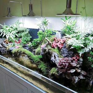 <span class=keywords><strong>Ampoule</strong></span> <span class=keywords><strong>LED</strong></span> 20W 40W <span class=keywords><strong>pour</strong></span> aquariums et plantes aquatiques, éclairage E27 <span class=keywords><strong>pour</strong></span> la croissance des plantes - Product Image 2