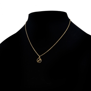 Estilo caliente 12 signo del zodiaco collar colgantes horóscopo Collar para mujer collar de horóscopo de acero inoxidable - Product Image 5