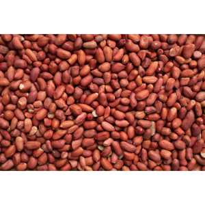 Best Selling Organic <b>Raw</b> Peanuts Food Grade US Origin Bulk <b>Packaging</b> & Customization Available Premium Quality - Product Image 1