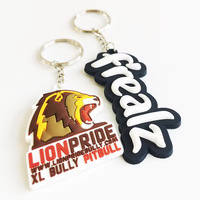 Porte-clés personnalisé en PVC, logo 2D 3D, porte-clés en caoutchouc souple en PVC pour cadeaux