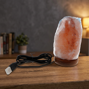Lampe en sel rose de l'Himalaya 100% naturel de qualité supérieure pour la décoration intérieure, mini lampe USB en forme de feuille, attrape-rêves Feng Shui sculpté - Product Image 1