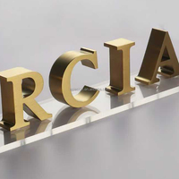 Lettres de logo en acier inoxydable non éclairées, lettres 3D en acier inoxydable uni, lettres en métal massif, enseignes murales non éclairées