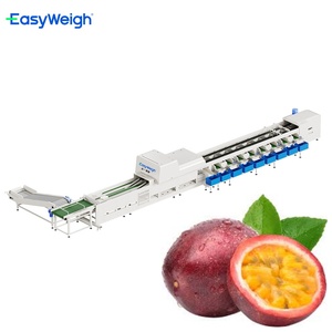 Niềm đam mê trái cây SORTER và học sinh lớp máy cho chế biến trái cây - Product Image 1