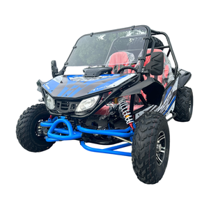 Buggy con Frenos Hidráulicos |   Go Karting para Uso en Parques de Atracciones |   Vehículo Profesional HL-0075 - Product Image 1