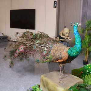 Fabrieksgemaakte op ware grootte animatronische pauw met verenbeweging voor dierentuinen, museum, avonturenpark, kinderdagverblijf, winkelcentrum en luchthaven - Product Image 3