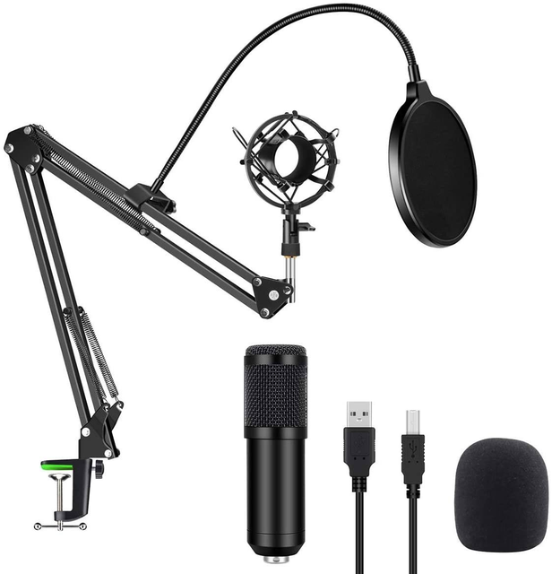 Tascam BM-800 Studio Condenser Microphone Great Price Omnidirectional Metal Microphone for Recording Singing Papaiond Model