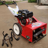 Désherbeuse Mini Motoculteur Diesel Deux Roues pour Enlèvement de l'Herbe et Sarclage Automatique