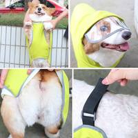 Imperméable pliable en PU solide pour chien, imperméable et portable, avec visière transparente et trous de fixation dorsale, idéal pour le printemps et l'été – Vente en gros