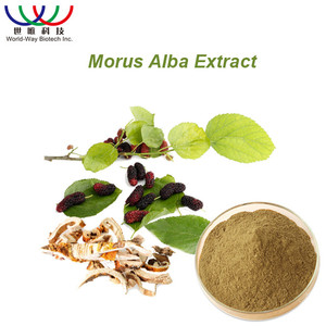 Morus Alba ผงใบหม่อนบริสุทธิ์1-Deoxynojirimycin 1-DNJ 1% -10% <span class=keywords><strong>3</strong></span>สารสกัดจากใบหม่อนสีขาวสำหรับการดูแลสุขภาพเครื่องสำอาง - Product Image 4