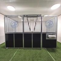 Box de chevaux Tianyun extérieur préfabriqué avec structure métallique galvanisée à chaud, toit portable, haute qualité, durable, faible entretien 1