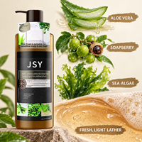 Sampo Aloe Vera Soapberry dengan 5 Sachet 10ml untuk Membersihkan Kulit Kepala yang Menyegarkan dan Rambut yang Terlihat Lebih Lebat dan Halus Label Pribadi