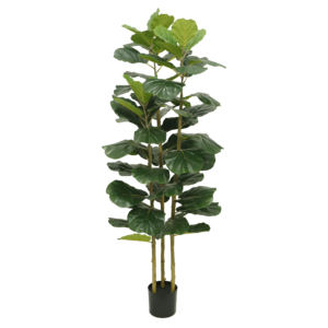 Plante artificielle de simulation de <span class=keywords><strong>figuier</strong></span> à feuilles de violon de 180 cm (6 pieds) / 160 cm (5 pieds), arbre décoratif pour la vente <span class=keywords><strong>en</strong></span> ligne - Product Image 1