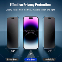 Vente en gros 9H Dureté Anti-peeping Privacy Protecteur d'écran Smart Phone Lunettes pour iphone 15 14 13 Pro Max 17 air