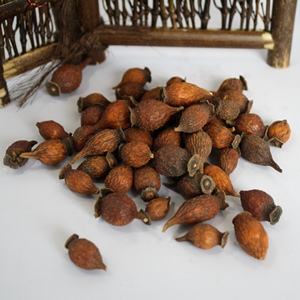 Fructus Rosae Laevigatae (Jin Ying Zi) Essiccato <span class=keywords><strong>Naturale</strong></span> Senza Zolfo, Materia Prima per Zuppe Erboristiche TCM, Fornitura all'Ingrosso, Confezione da 1kg - Product Image 4