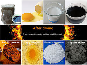 Enerji tasarrufu peynir altı suyu <span class=keywords><strong>Protein</strong></span> tozu yapma makinesi süt süt tozu yapmak için elektrikli püskürtmeli kurutma makinesi (büyük bir indirim) - Product Image 4