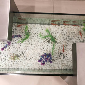 Table d'<span class=keywords><strong>aquarium</strong></span> en verre, réservoir <span class=keywords><strong>de</strong></span> poissons avec acier inoxydable et verre, prix garanti - Product Image 5