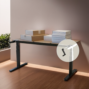 Escritorio de pie manual líder con ajustador de altura de manivela para profesionales ecológicos - Product Image 1