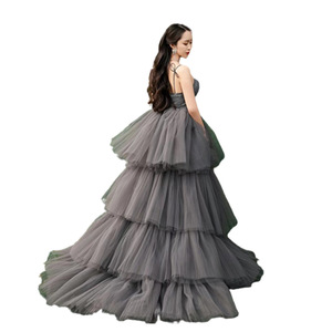 Gray Tulle Ball Gown Halter Neckline Natural Waistline Long Train Wedding Dress For Couple Photography Forest Style - Product Image 5
