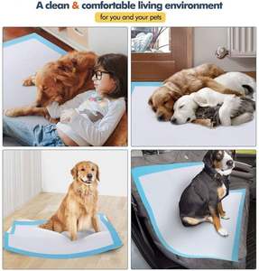 Coussinets absorbants jetables de haute qualité personnalisés pour chiens, dressage des animaux de compagnie - Product Image 4
