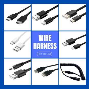 电子应用装配线束JST 1.25毫米2.0毫米2.54毫米2针电缆线束 - Product Image 5