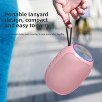 Haut-parleur sans fil portable pour extérieur, mini audio, 5W de sortie, batterie au lithium, avec lecteur de carte et fonction de rappel vocal