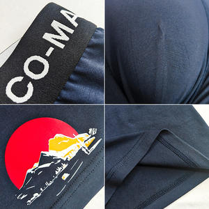 Sous-vêtements <span class=keywords><strong>à</strong></span> motifs sans couture pour hommes, caleçons et boxers pour hommes, boxers en modal écologique doux, pour un usage quotidien, flexibles - Product Image 2