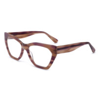 Montures de lunettes en acétate unisexe de haute qualité femme et homme classique oeil de chat optique conception d'ordinateur coloré