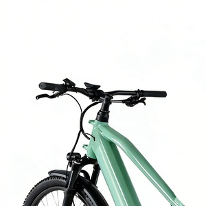 Vélo cargo électrique vintage CE le plus vendu, 48V 85Nm 9 vitesses 11-38T, aussi agile qu'il soit stable - Product Image 5