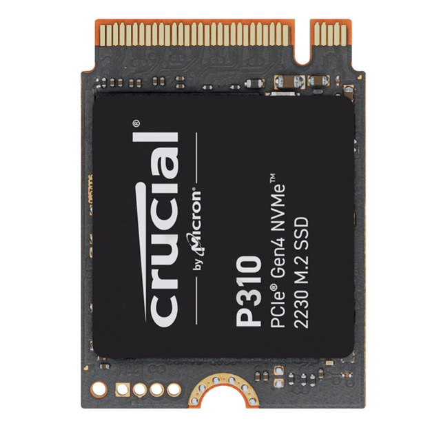 P310 M.2 2230 SSD 1TB 2TB High Speed Solid State Drive For Handheld Game Console And Laptop