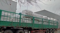 Polyphosphate d'ammonium modifié au silane à haut degré 1er polymère OH liquide de poudre ignifuge pour résine époxy