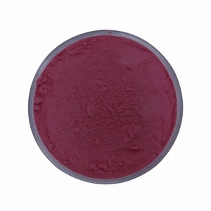 Polvo de Extracto de Acerola Orgánica con Vitamina C, Suministro de Fábrica, Polvo de Acerola Seca, Polvo de Cereza Ácida - Product Image 2