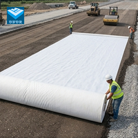 Tapis géotextile non tissé en polypropylène PET en gros pour drainage et filtration