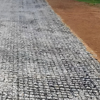 Tapis de sol en plastique pour enclos à chevaux, grille pour herbe, contrôle de la boue, stabilisateur de sol, noir et vert