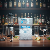 Sac à glaçons en LDPE recyclable pour emballage de 10 lb et 20 lb, résistant au froid, fabricant sur mesure