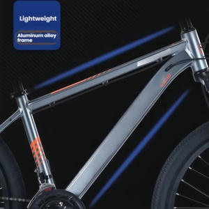 Bicicletta Mountain Bike Fat da 26 Pollici, Telaio in Lega di Alluminio, Hardtail, Cambio Shimano a 27 Velocità, Freno a Olio, MTB per Adulti per Triathlon e Gare - Product Image 5