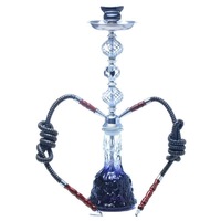 Chicha de luxe en acier inoxydable avec 2 tuyaux, base en verre dépoli, type droit, accessoire pour fumer la chicha