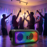 Altavoz de Karaoke GY-1024, Bafle Bluetooth, Haut-Parleur con Micrófono, Altavoz de Karaoke para Fiestas al Aire Libre con Micrófono y Bluetooth