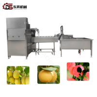 Automatische Obstschälmaschine Industrielle Obstverarbeitungs-Schälmaschine Apfelschäl-, Entkernungs- und Schneidemaschine