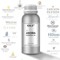Parfum original d'huile essentielle de saveur pure et de parfum de 500ML pour des saveurs industrielles apparence liquide d'extrait de plante