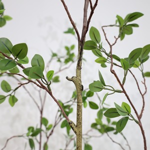 Nouvel arbre artificiel Toona de 180 cm avec des feuilles réalistes, arbre artificiel pour l'intérieur et l'extérieur, pour la maison, le bureau, le salon, la chambre, la véranda - Product Image 3