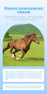 Suplemento de diferentes sabores con logotipo personalizado OEM para suplemento de Salud de caballo con desparasitación - Product Image 3