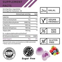 Gummies de créatine sans sucre en gros, électrolytes et antioxydants, à la créatine monohydrate