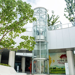 Уличный домашний Лифт стеклянный тихий Двухместный Современный лифт вилла Мини тихий дом дизайн для внутреннего пассажира особенность - Product Image 3