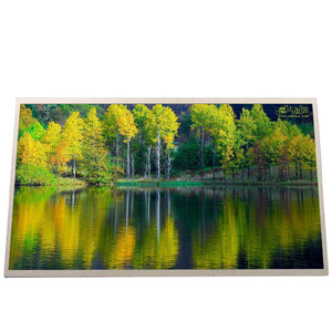 Módulo LCD B133XW04 V2 de 13.3 Pulgadas, 60Hz, 1400*1050, Panel de Pantalla TFT LCD Económico - Product Image 1